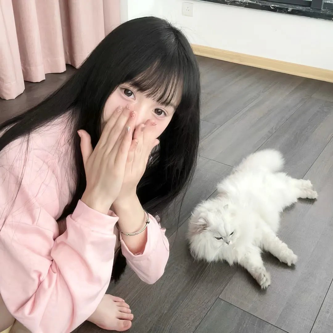 机动战士高达：库库鲁斯·多安的岛